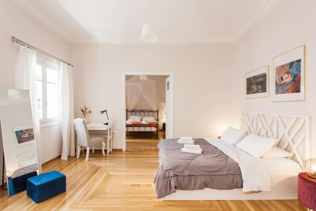 雅典Splendid Full 5Bdr/3Bath/2Kitchens Mansion In Ath公寓 外观 照片
