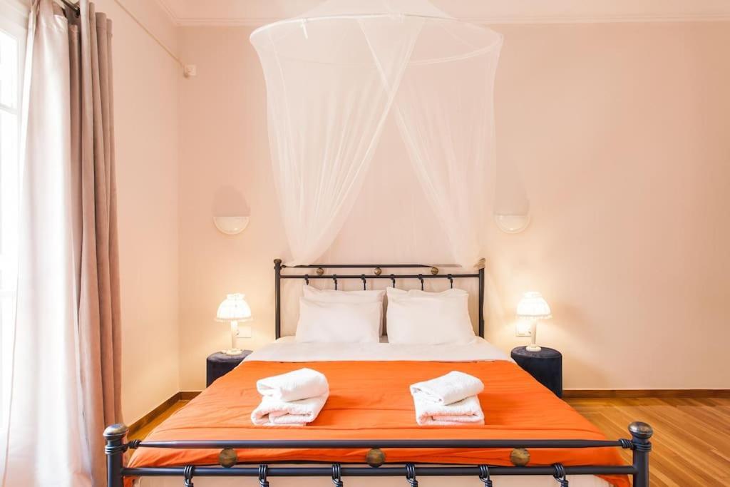 雅典Splendid Full 5Bdr/3Bath/2Kitchens Mansion In Ath公寓 外观 照片