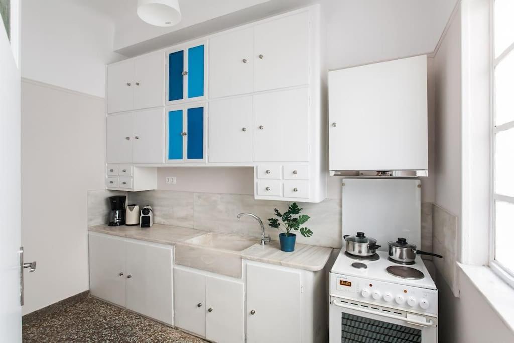 雅典Splendid Full 5Bdr/3Bath/2Kitchens Mansion In Ath公寓 外观 照片